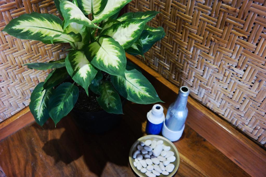 Hotel Tehila House à Canggu Extérieur photo